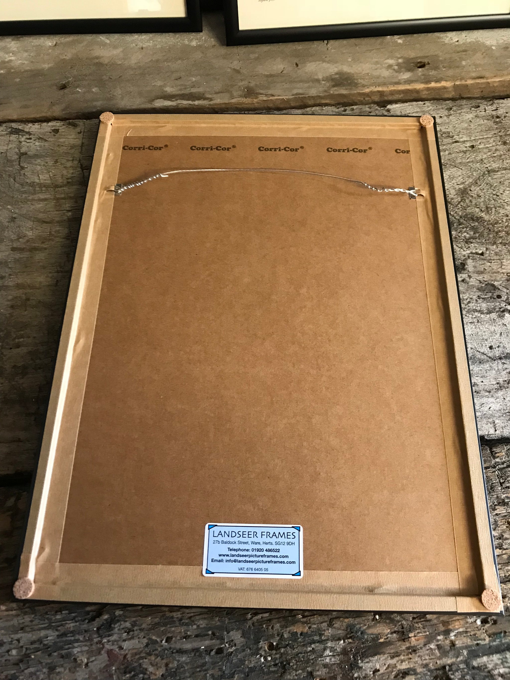 Rare exotic bird framed print 1796-1812- parrot, turaco, bird of paradise, 'tucan'