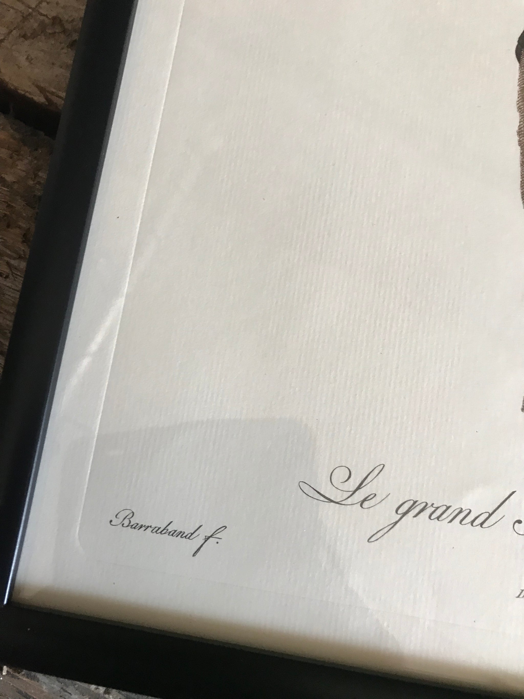 Rare exotic bird framed print 1796-1812- parrot, turaco, bird of paradise, 'tucan'