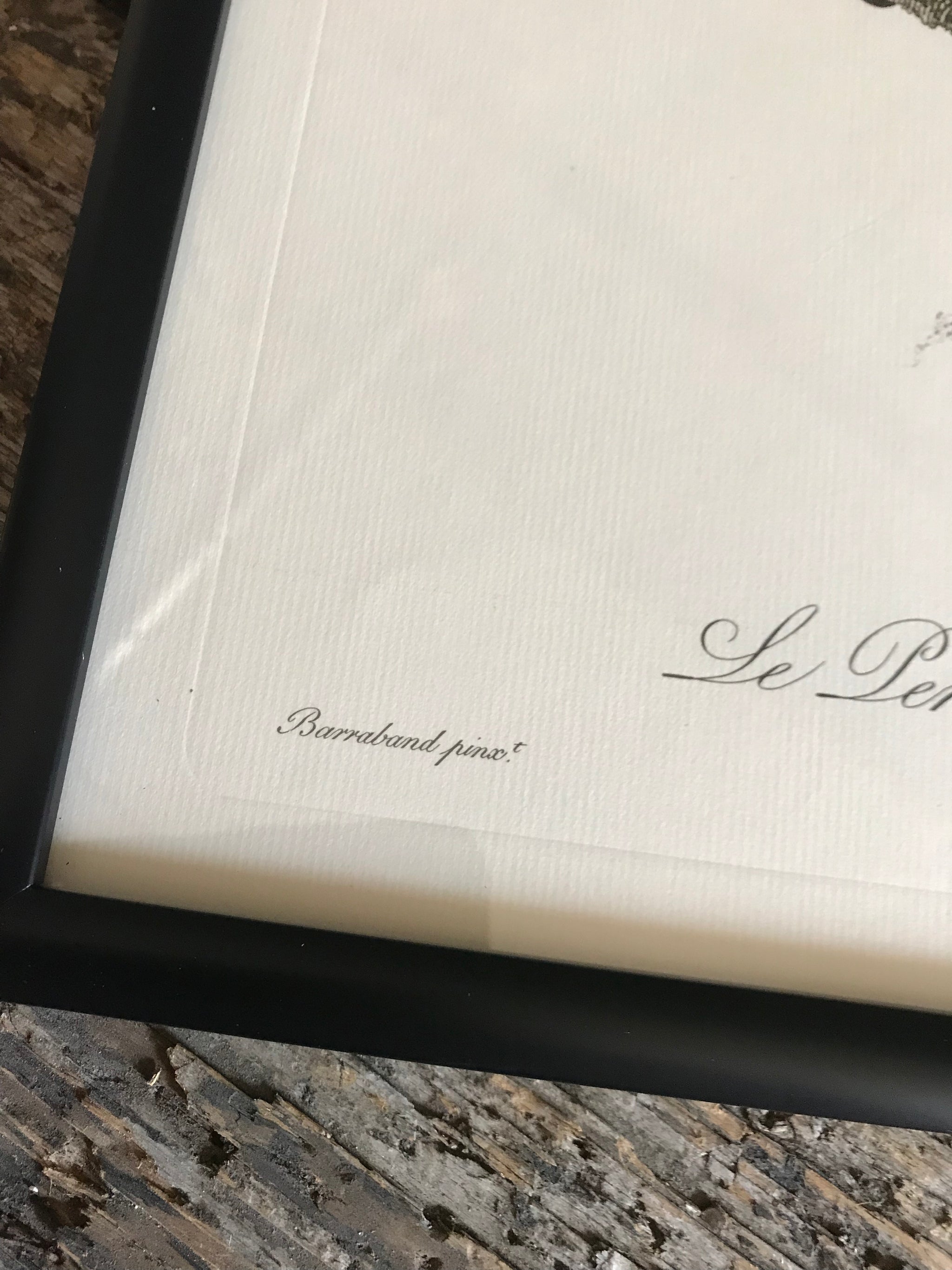 Rare exotic bird framed print 1796-1812- parrot, turaco, bird of paradise, 'tucan'