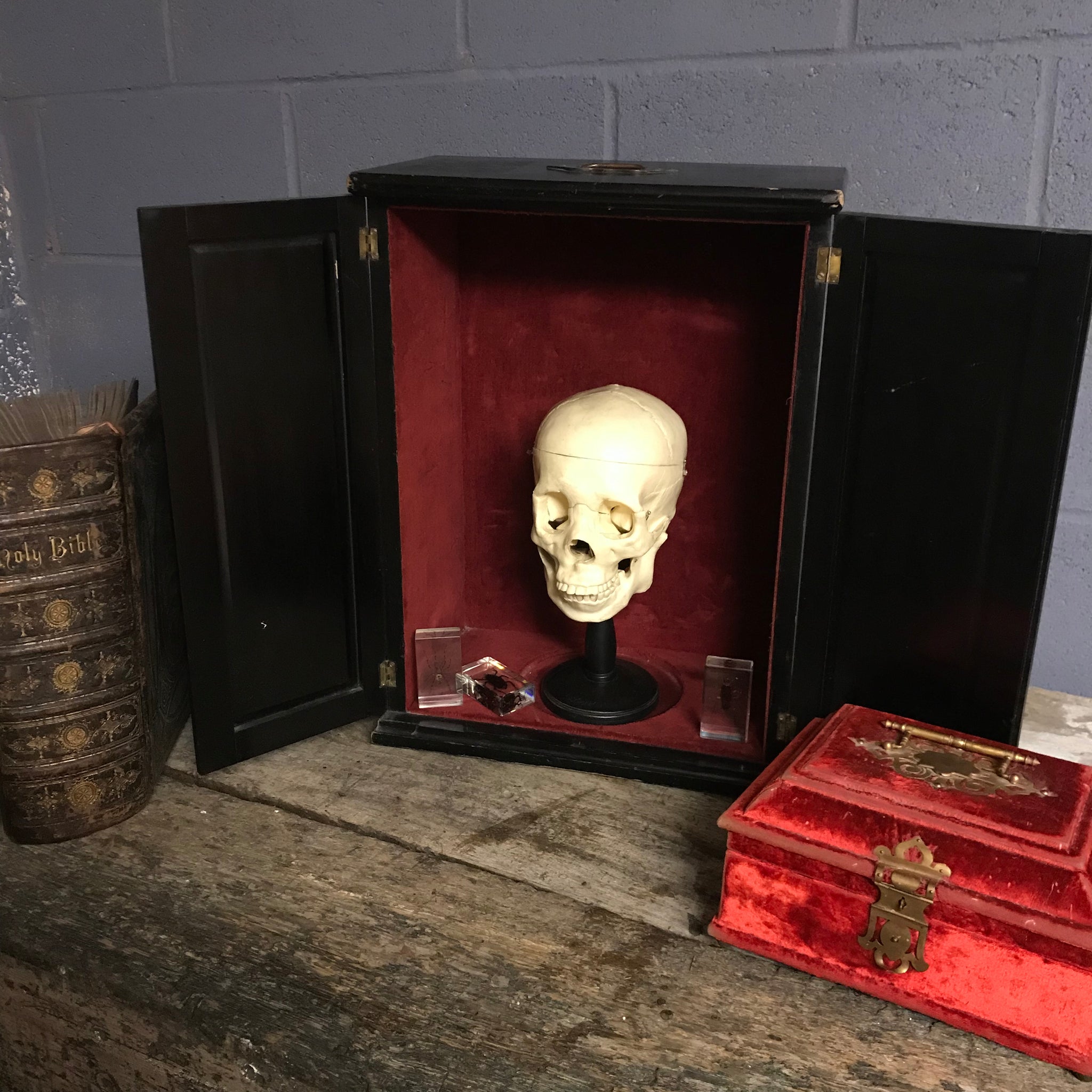 A black ebonised trophy display cabinet with red velvet inlay