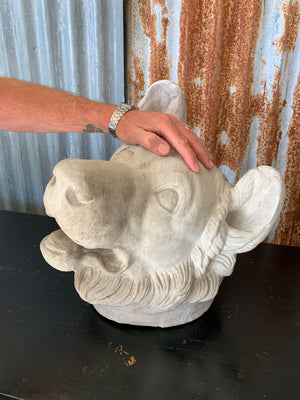 A large white plaster Jennings Dog head- Molossian