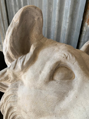 A large white plaster Jennings Dog head- Molossian