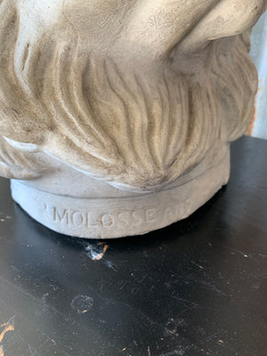 A large white plaster Jennings Dog head- Molossian