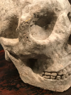 A life size stone Memento Mori skull statue