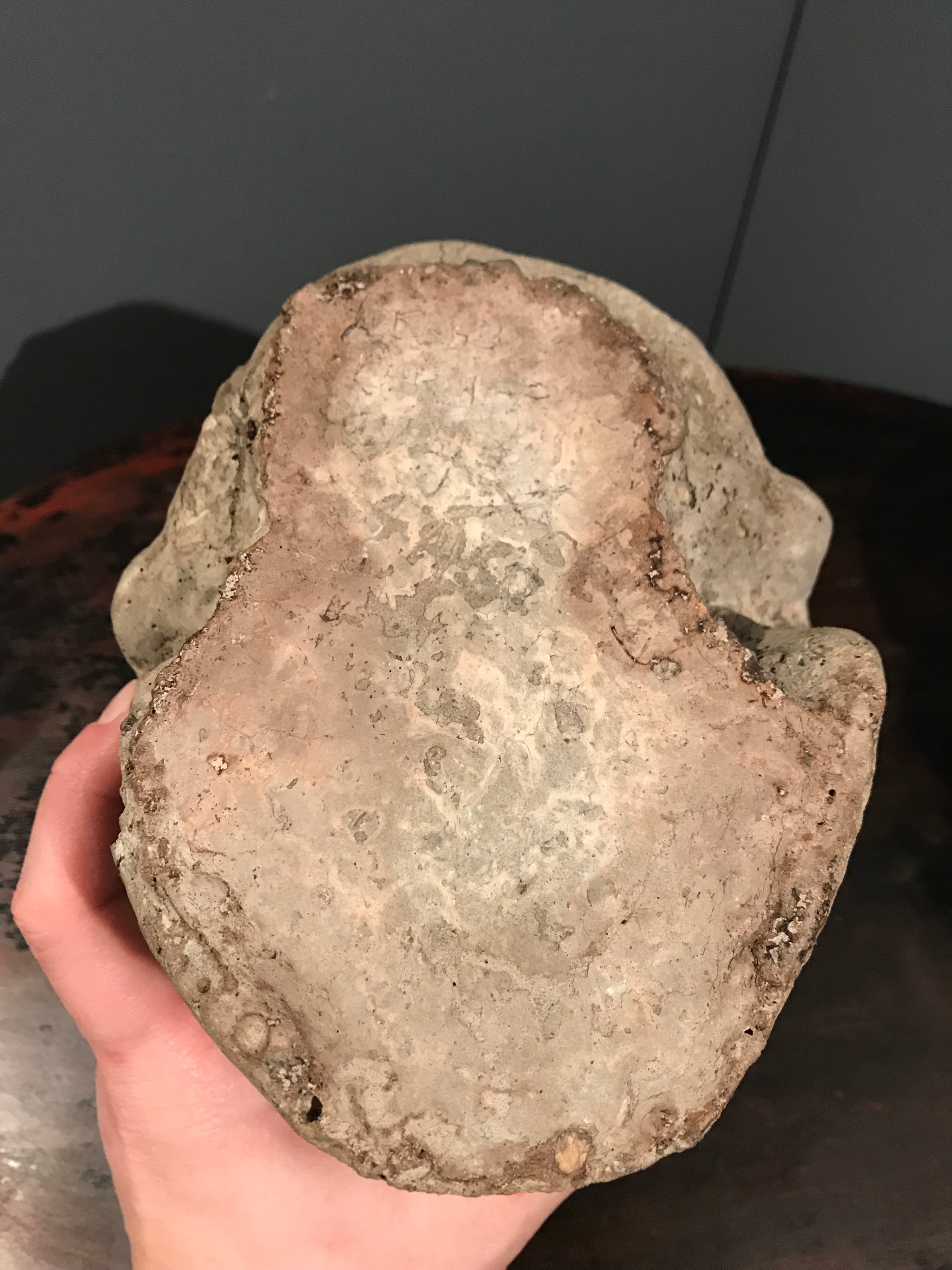 A life size stone Memento Mori skull statue