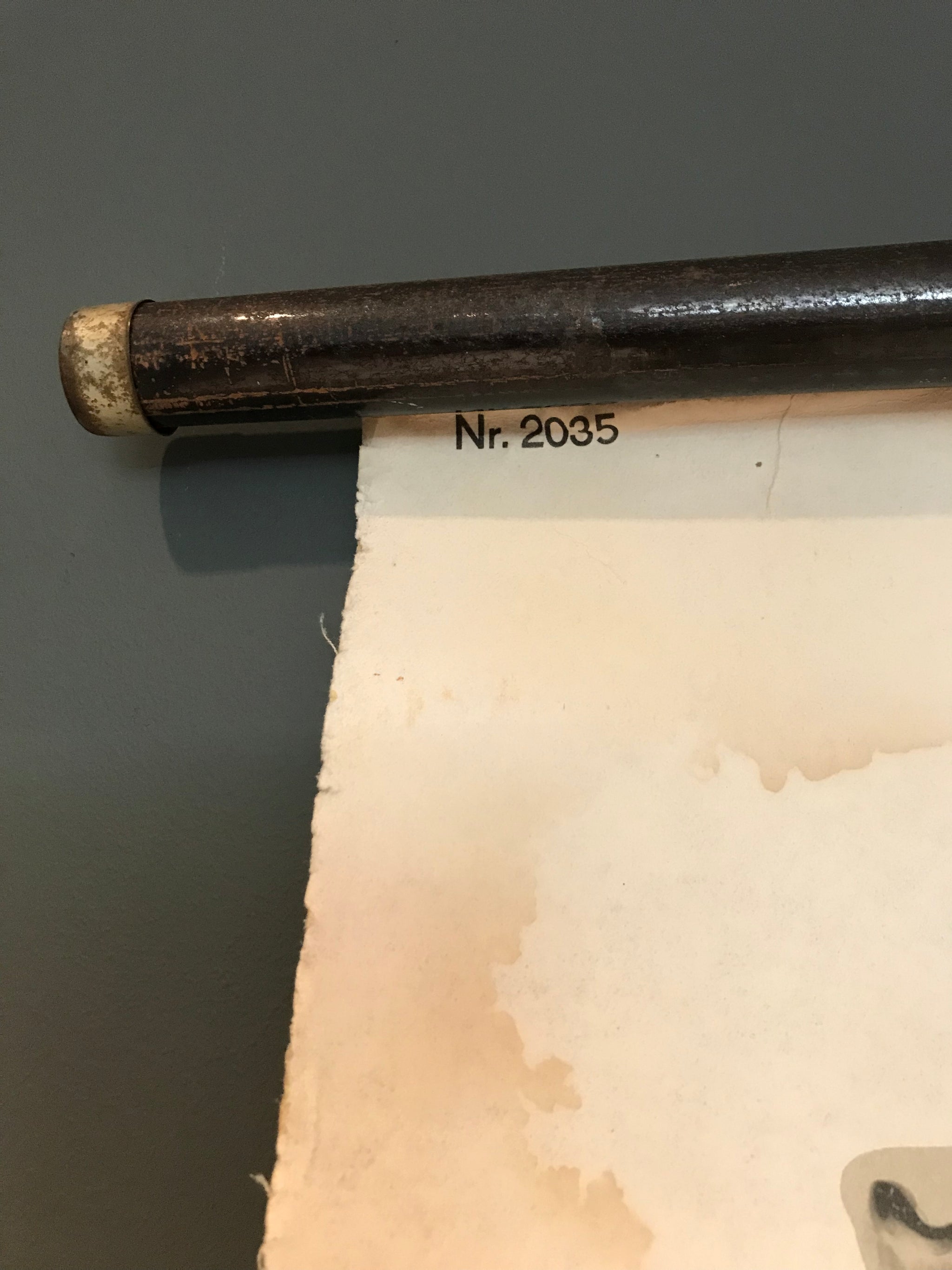 A German wall chart poster of Pavlov’s Dog Bedingte reflex