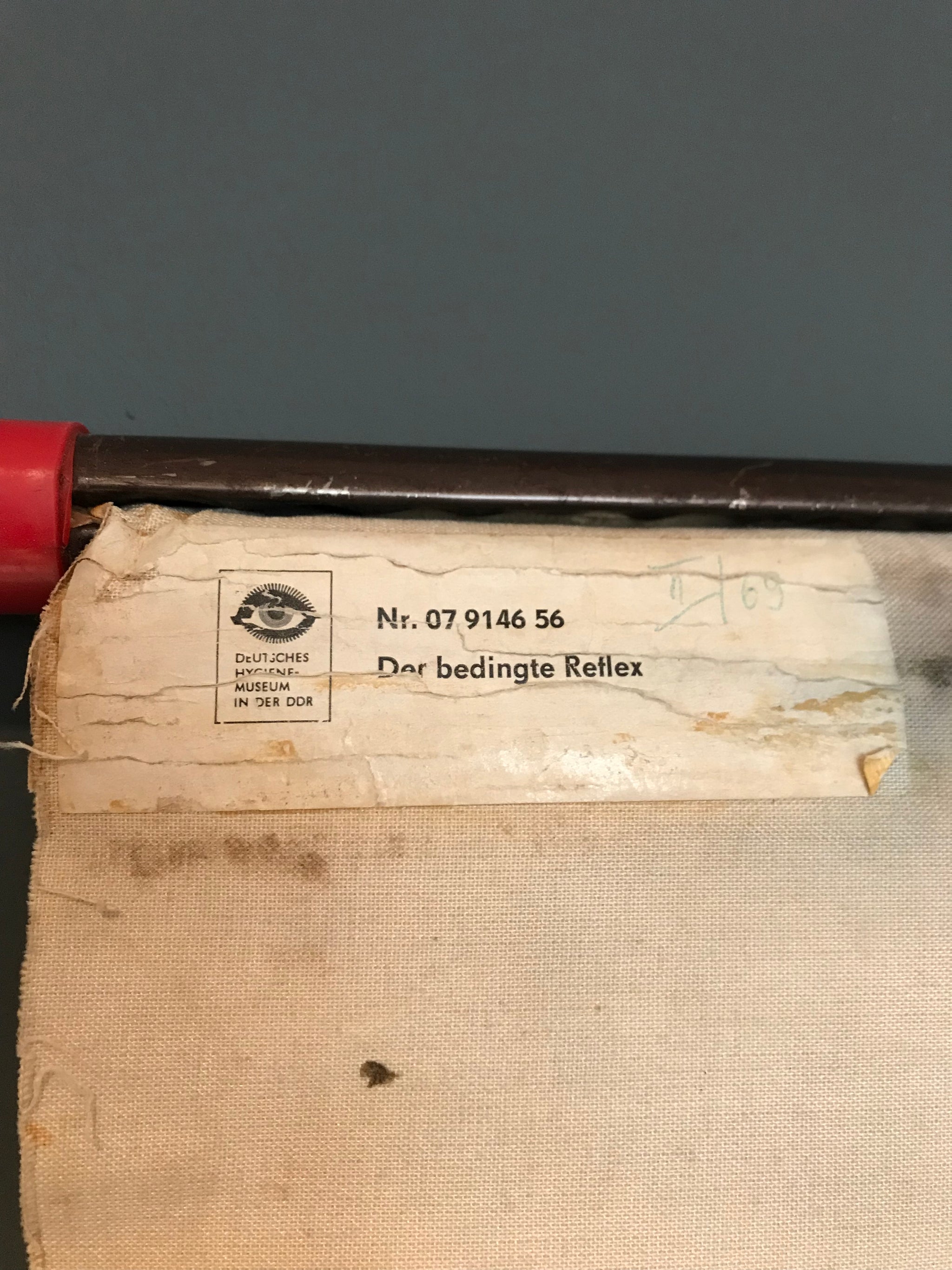 A German wall chart poster of Pavlov’s Dog Bedingte reflex