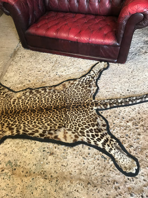 A Victorian taxidermy leopard skin rug with half head