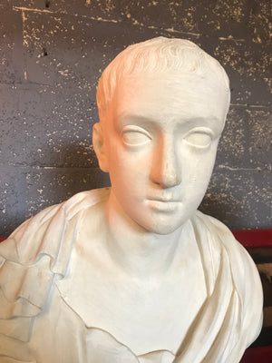 A large 19th Century Neoclassical Roman bust of Severus Alexander in white plaster