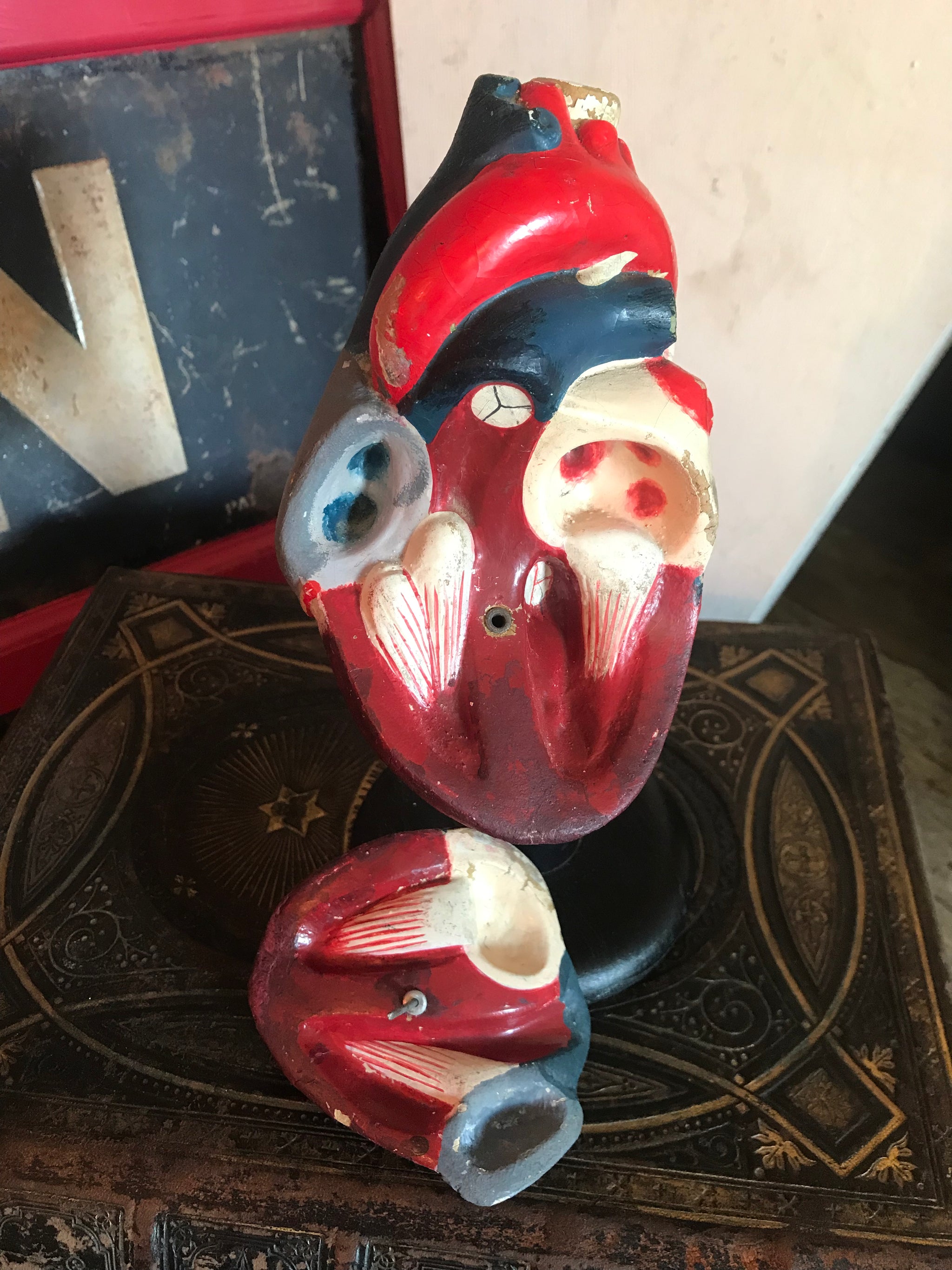 An early anatomical heart model on stand by T Gerrard and Co