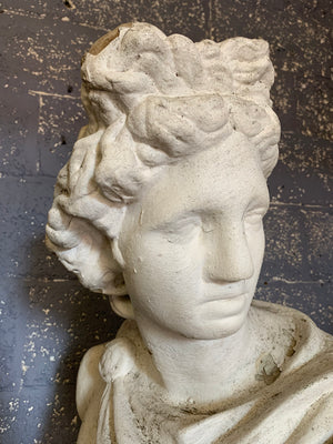 A very large cast stone Apollo Belvedere bust