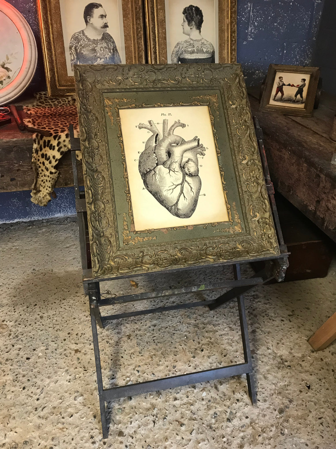 A contemporary anatomical heart print in a 19th Century frame