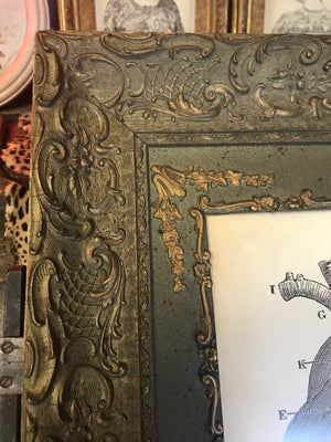 A contemporary anatomical heart print in a 19th Century frame