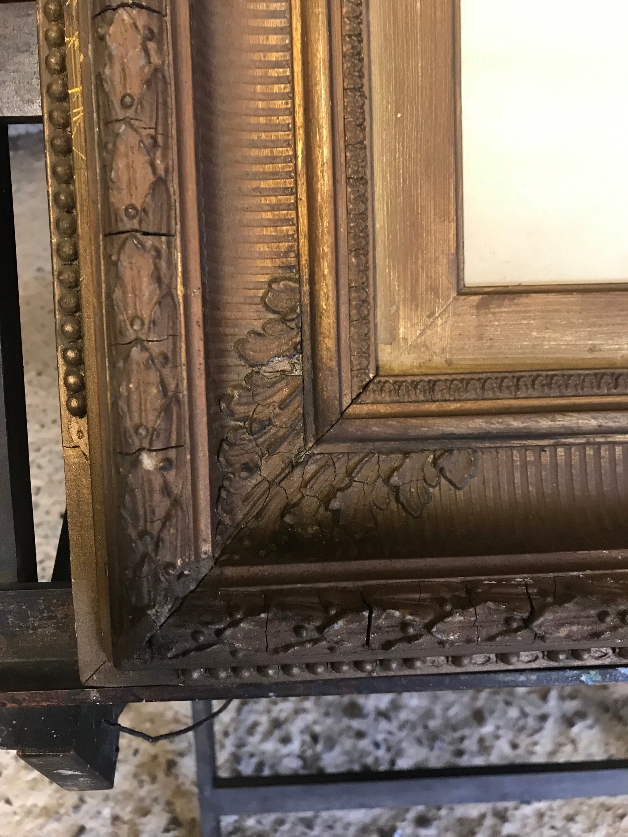 A contemporary anatomical ecorche print in a 19th Century frame