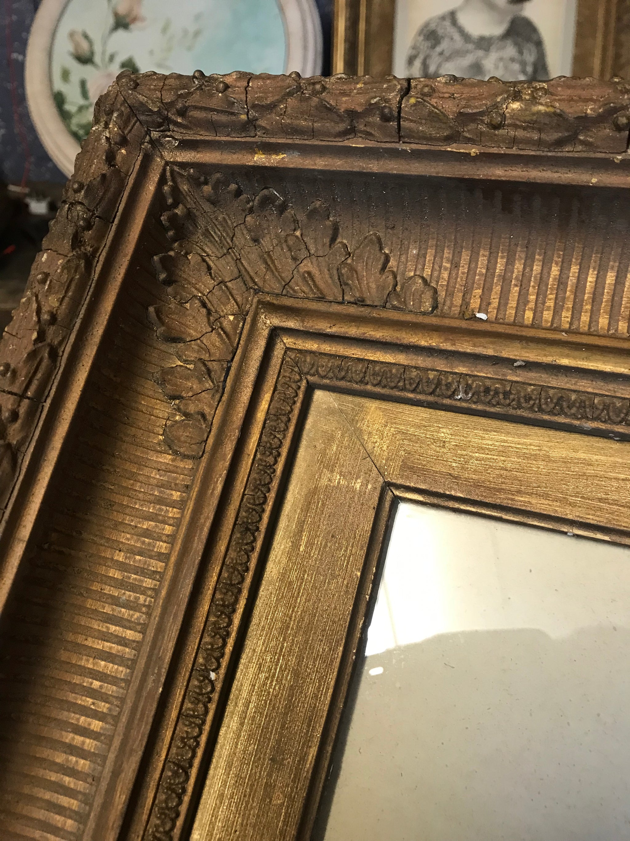 A contemporary anatomical ecorche print in a 19th Century frame