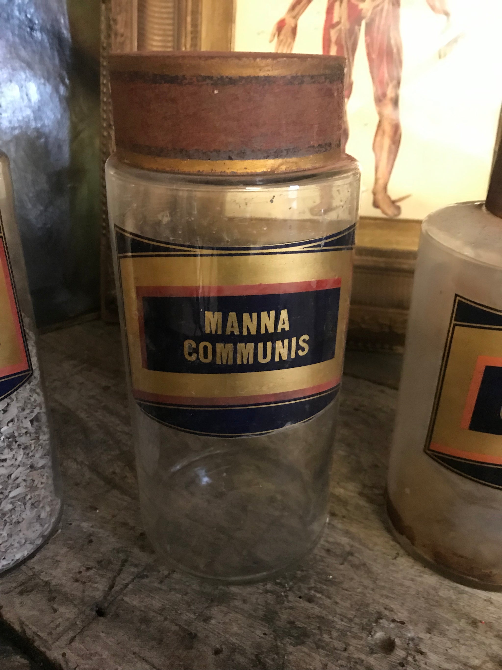 A collection of six gilt label large glass apothecary jars