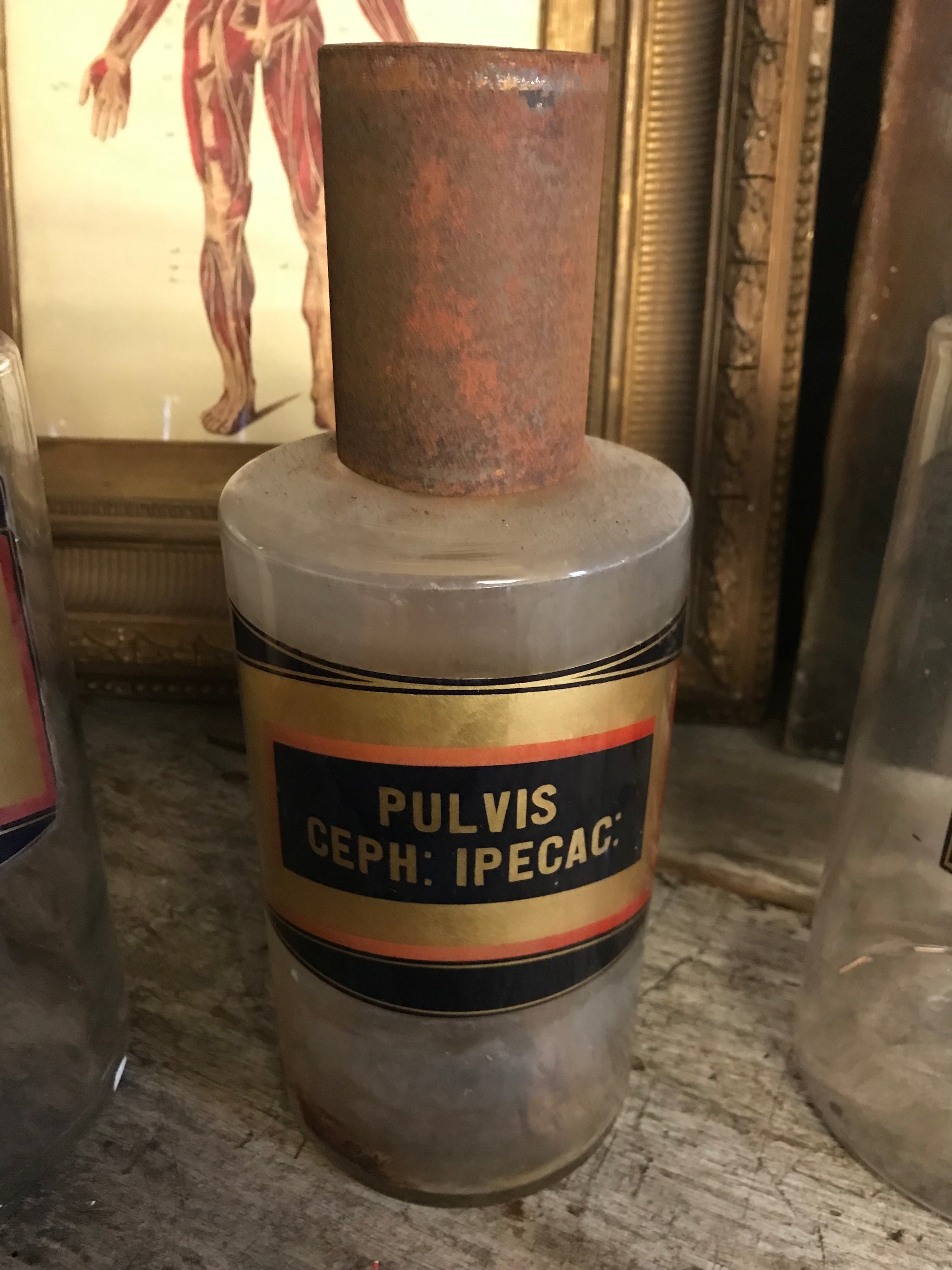 A collection of six gilt label large glass apothecary jars