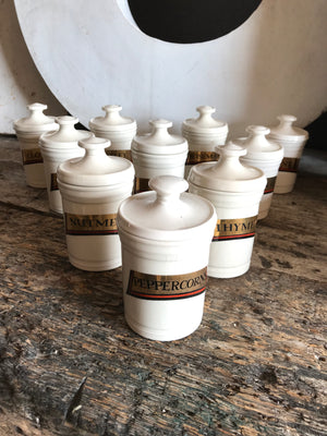 A collection of porcelain apothecary spice jars