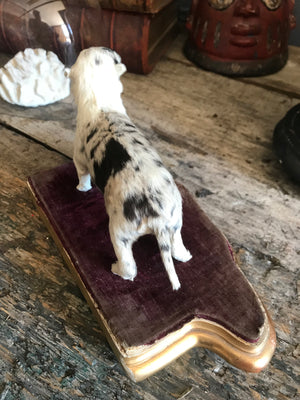 A miniature taxidermy puppy dog specimen on a purple velvet stand