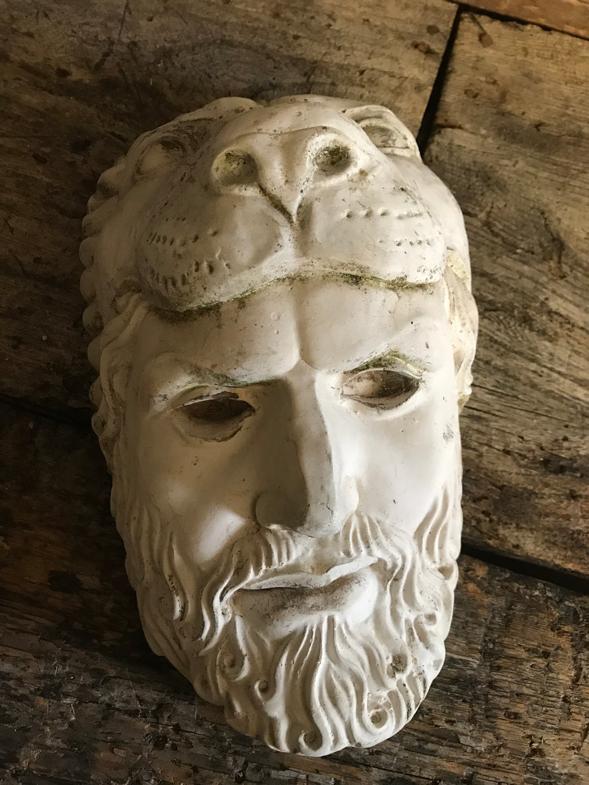 An old plaster head of Hercules wearing the Nemean lion skin