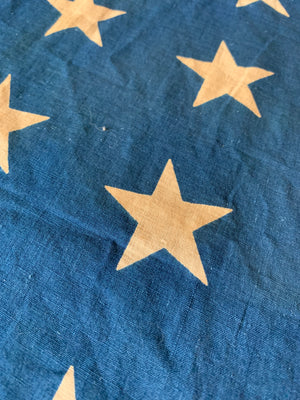 A printed fabric 48 Star Stars and Stripes flag