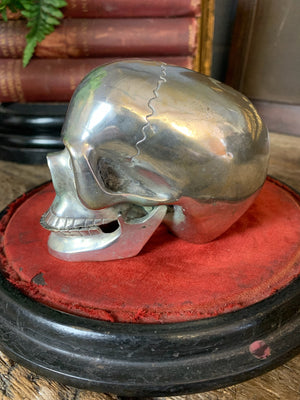 A silver plated skull model with articulated jaw