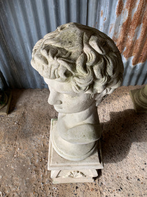 A cast stone bust of Michelangelo's David on a pedestal