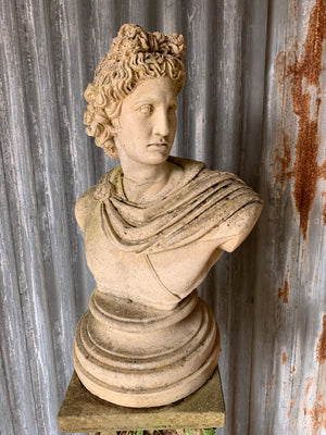 A cast stone bust of Apollo on a column pedestal #2