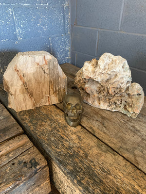 A large ancient petrified wood specimen ~ 1