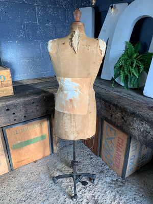 A Levine mannequin on a Kennett and Lindsell base