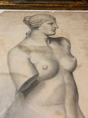 A large academic pencil drawing of the Venus de Milo