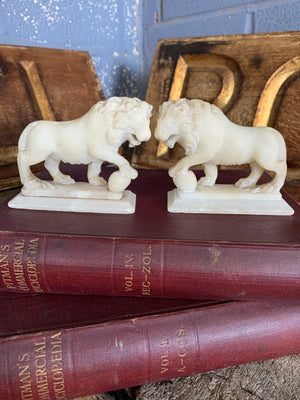 An opposing pair of Grand Tour alabaster Medici lions