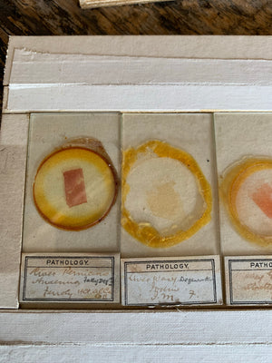 A collection of rare microscope slides