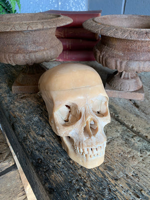 An articulated human skull model