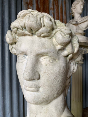 A cast stone bust of Michelangelo's David on a pedestal