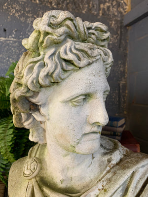 A large cast stone Apollo Belvedere bust