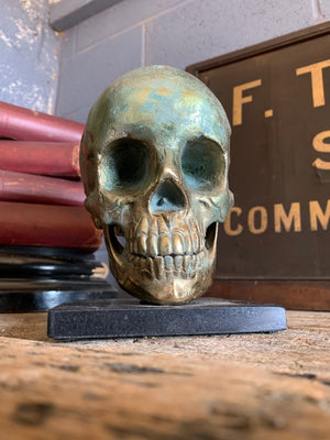 A brass human skull model mounted on a marble stand