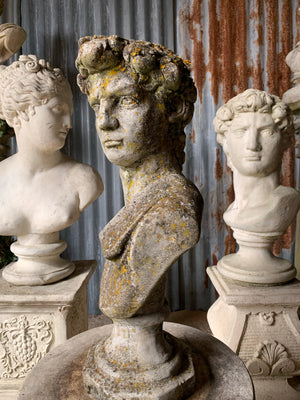 A well weathered cast stone bust of Michelangelo's David on a pedestal