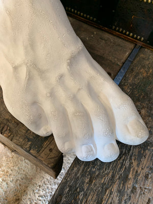 An anatomical Grand Tour plaster foot