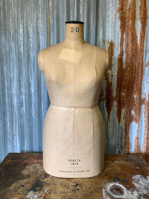 A Kennett and Lindsell mannequin - size 20