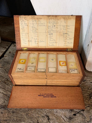A collection of rare human pathology microscope slides in a bespoke case