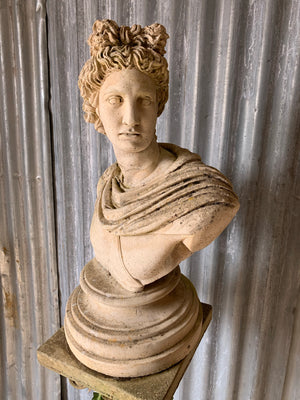 A cast stone bust of Apollo on a column pedestal #2