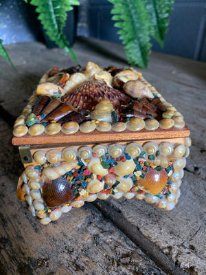 A small seashell encrusted trinket box