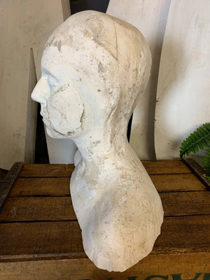 A life size bust in white plaster