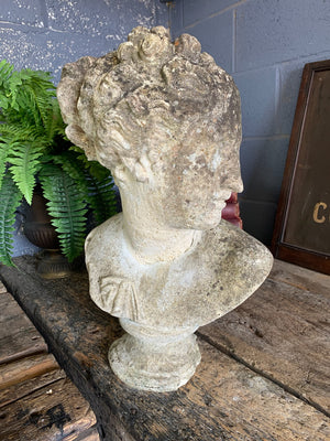 A weathered cast stone bust of Venus or Aphrodite