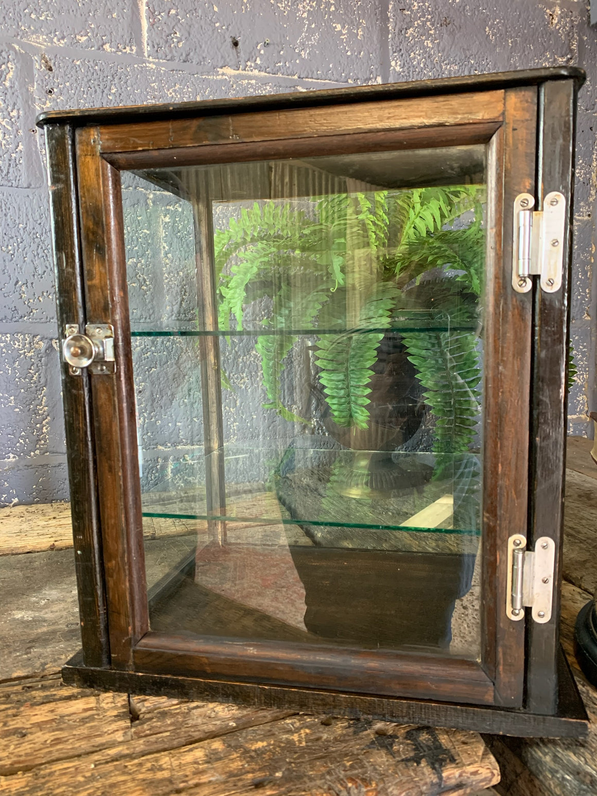 An Edwardian table top shop display cabinet