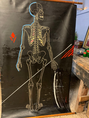 A double sided IVAC anatomical skeleton teaching chart