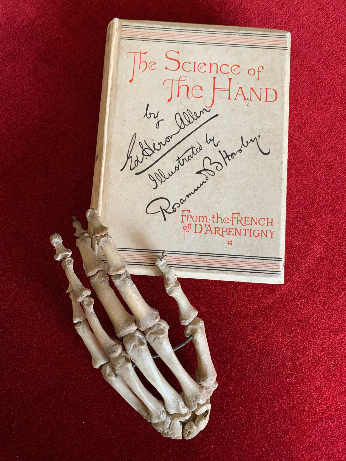 Antiquarian book ‘The Science of The Hand’ by D'Arpentigny 1895- Palmistry interest