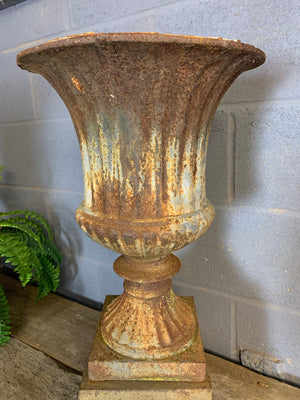 A large pair of cast iron campana urns on pedestals