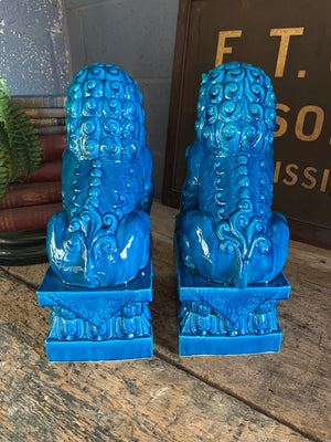 A pair of very large turquoise Chinese foo dogs ~ 40cm